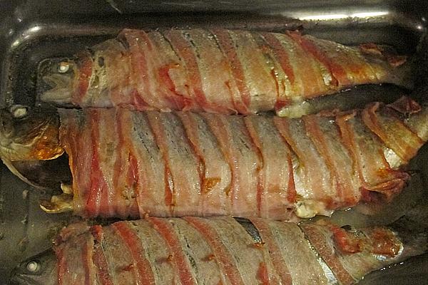 Bacon Trout