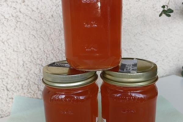 East Frisian Rhubarb Liqueur