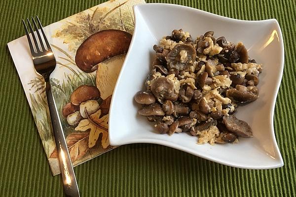 Franconian Forest Mushroom Pan