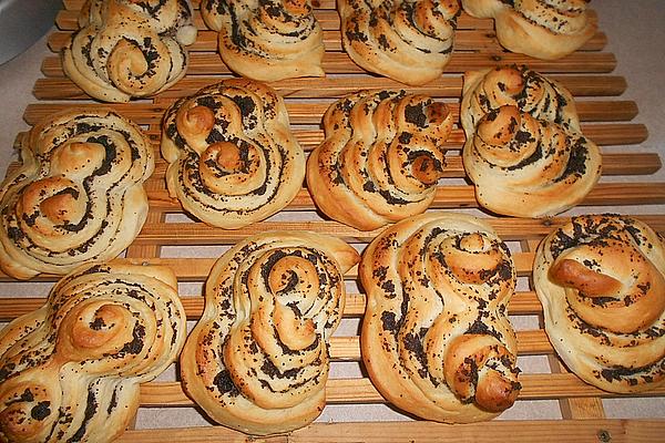Marzipan – Poppyseed – Snails