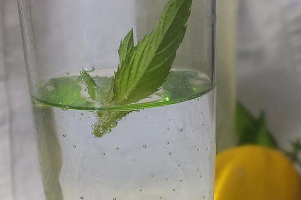Mint and Lemon Syrup