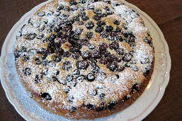 Quark – Blueberry – Tart