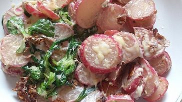 Lamb`s Lettuce 20;Gold, Silver and Bronze21;