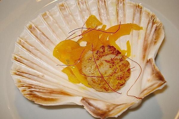 Scallops on Fennel in Orange – Saffron Sauce
