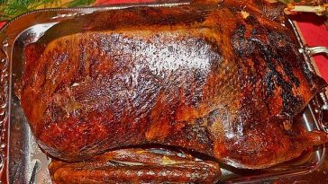 Festive Martin`s or Christmas Goose