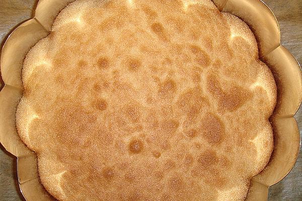Water Biscuit